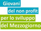 Giovani del no profit per lo sviluppo del Mezzogiorno Giovani del no profit per lo sviluppo del Mezzogiorno
