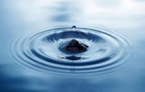 Un anno a difesa dell?acqua