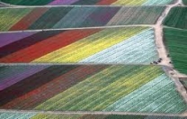 Politica agricola comune, posizione delle Regioni a Bruxelles
