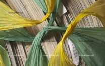 Oltre 3 milioni di tonnellate di carta e cartone raccolte