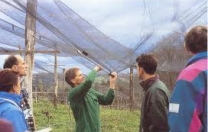 Lavoro dignitoso e produttivo per i giovani delle aree rurali