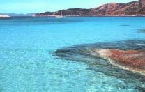 Bando Fondazione Telecom  per i parchi e le aree marine protette