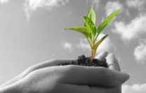 Dal convegno di Cuglieri nuova linfa per la cooperazione sarda