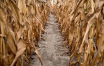 La siccita’ obbliga a gestire meglio le risorse idriche