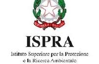 Ispra: Rapporto Rifiuti 2013