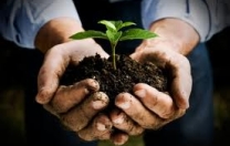 Come costruire i lavori verdi