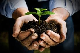 Come costruire i lavori verdi Come costruire i lavori verdi