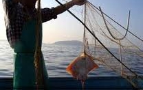 Finanziato il Gruppo Azione Costiera ?Sardegna Orientale?