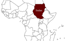 Sudan, tredici donne flagellate perchè indossavano pantaloni