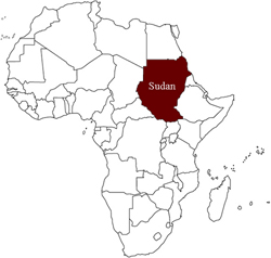 Sudan, tredici donne flagellate perchè indossavano pantaloni