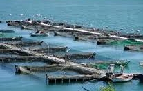 Pesca: necessaria una proroga delle concessioni demaniali