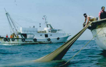 Fondi europei per la Pesca, all’Italia oltre 400 milioni