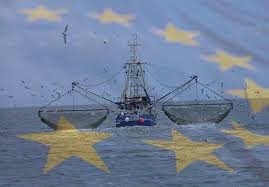 Consultazione europea sulla regolamentazione della pesca Consultazione europea sulla regolamentazione della pesca