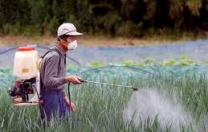 I pesticidi sono in grado di causare la SLA ?