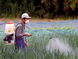 I pesticidi sono in grado di causare la SLA ?