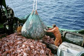 Bando per investimenti nel settore della pesca e acquacoltura Bando per investimenti nel settore della pesca e acquacoltura