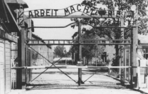 Giorno della Memoria: 70° anniversario dopo Auschwitz