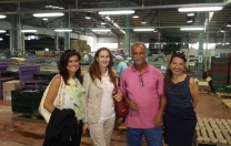 L’Assessore dell’Agricoltura Falchi in visita alla Cooperativa Santa Margherita Terra e sole di Pula