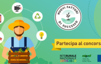 Ismea “Nuovi Fattori di Successo”quinta edizione: aperta la selezione dei giovani imprenditori agricoli