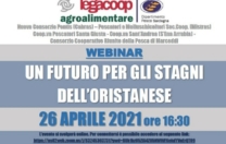 Webinar “Un futuro per gli stagni dell’oristanese” 26 Aprile ore 16,30